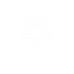 دانشگاه صنعتی امیرکیر