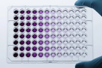 MTT assay