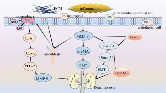 signaling pathway