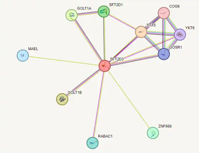 signaling pathway of SFT2D3